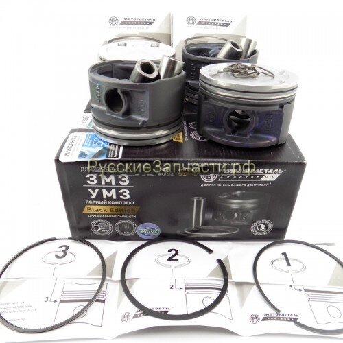 ЕВРО-3 Поршни ГАЗ-3302 ЗМЗ-405 95.5 Эксперт (Кострома) (к-т)