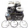 ЕВРО-3 Поршни ГАЗ-3302 ЗМЗ-405 96.0 Эксперт (Кострома) (к-т)